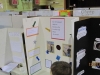 science-fair-112